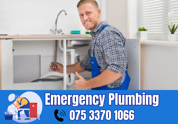  plumber Leybourne