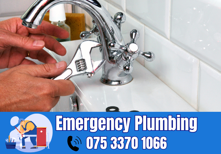  plumber Larkfield