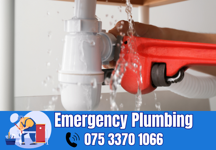 plumber Aylesford