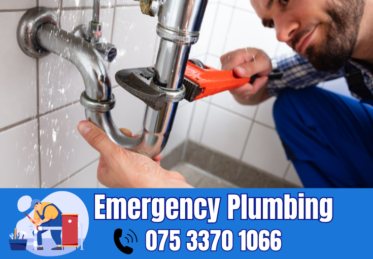  plumber New Hythe