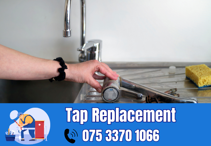 tap repair and replacement Ditton 