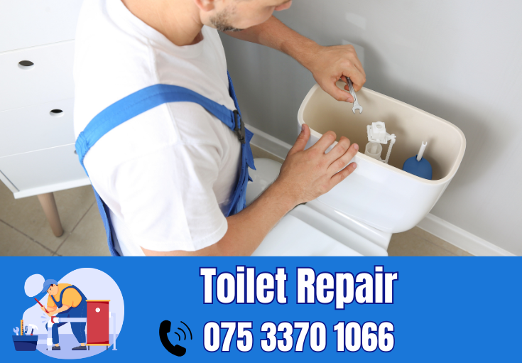 toilet repair Ditton 
